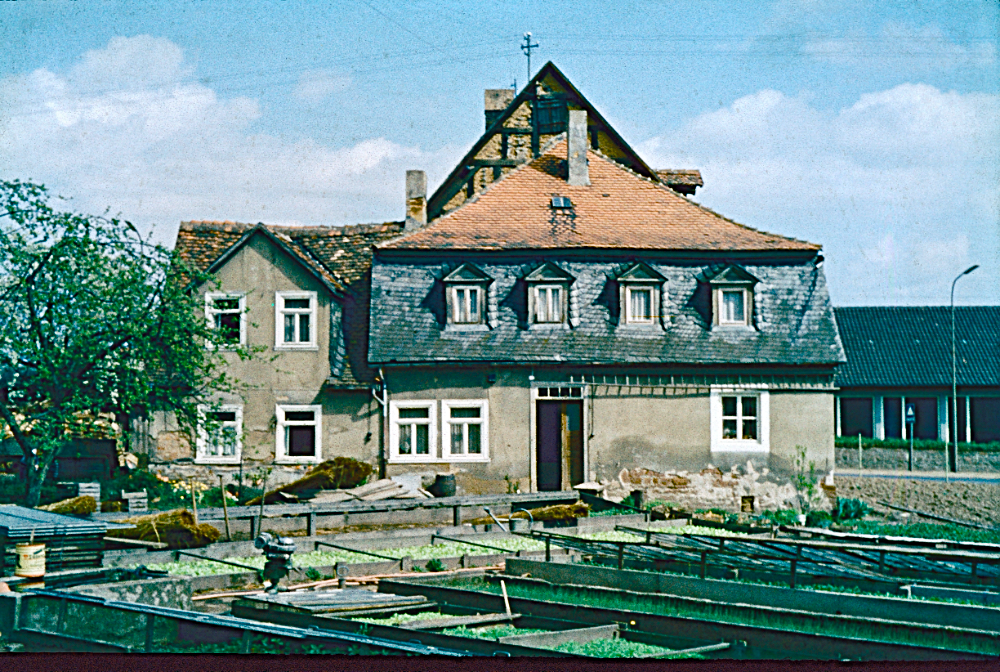 Gärtnerei Haldy