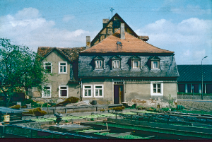 Gärtnerei Haldy