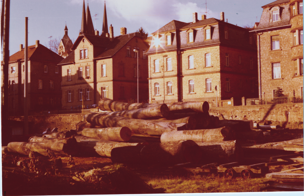 Prodomo - Sägewerk mit Häusern der Barbarossastraße