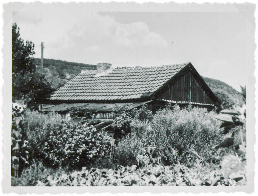Behelfsheim an der Weide