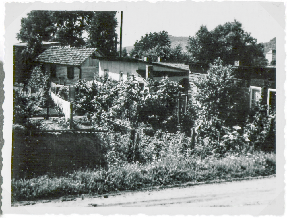Behelfsheim an der Weide